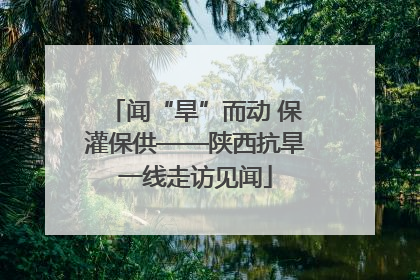 闻“旱”而动 保灌保供——陕西抗旱一线走访见闻