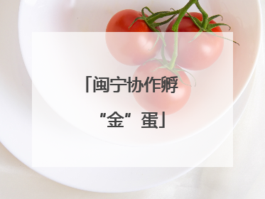 闽宁协作孵“金”蛋