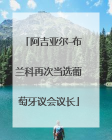 阿吉亚尔-布兰科再次当选葡萄牙议会议长