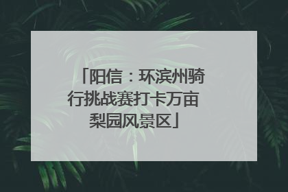 阳信：环滨州骑行挑战赛打卡万亩梨园风景区