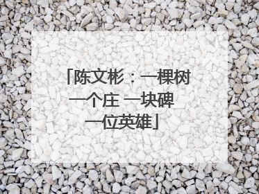 陈文彬：一棵树 一个庄 一块碑 一位英雄