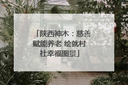 陕西神木：慈善赋能养老 绘就村社幸福图景