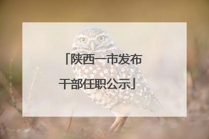 陕西一市发布干部任职公示