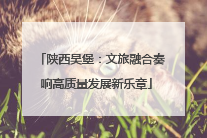 陕西吴堡：文旅融合奏响高质量发展新乐章