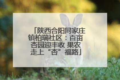 陕西合阳同家庄镇柏瑞社区：百亩杏园迎丰收 果农走上“杏”福路