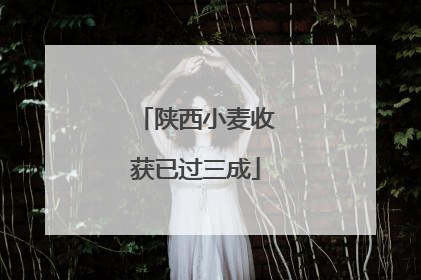 陕西小麦收获已过三成