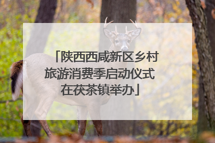 陕西西咸新区乡村旅游消费季启动仪式在茯茶镇举办