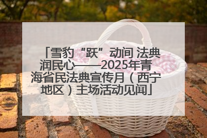 雪豹“跃”动间 法典润民心——2025年青海省民法典宣传月（西宁地区）主场活动见闻