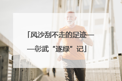 风沙刮不走的足迹——彰武“逐绿”记