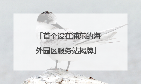 首个设在浦东的海外园区服务站揭牌
