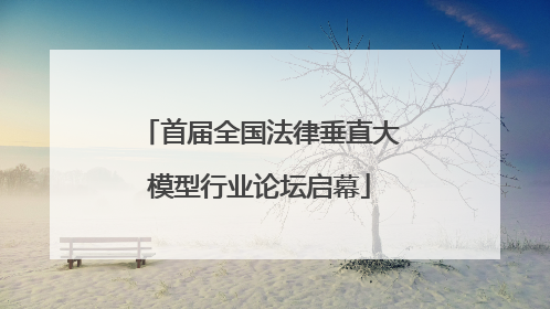 首届全国法律垂直大模型行业论坛启幕