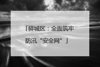 驿城区：全面筑牢防汛“安全网”