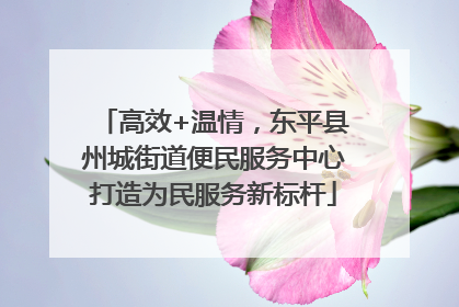 高效+温情，东平县州城街道便民服务中心打造为民服务新标杆