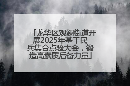 龙华区观澜街道开展2025年基干民兵集合点验大会，锻造高素质后备力量