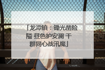 龙潭镇：锄光凿险隘 昼色护安澜 干群同心战汛魔