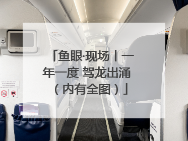 鱼眼·现场丨一年一度 驾龙出涌（内有全图）