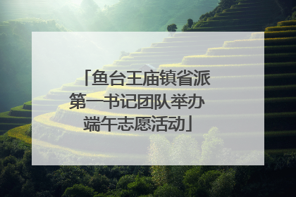 鱼台王庙镇省派第一书记团队举办端午志愿活动