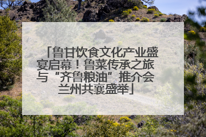 鲁甘饮食文化产业盛宴启幕！鲁菜传承之旅与“齐鲁粮油”推介会兰州共襄盛举