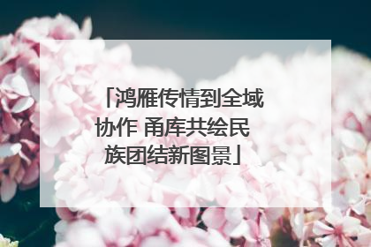 鸿雁传情到全域协作 甬库共绘民族团结新图景