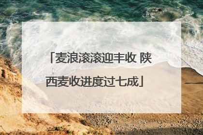 麦浪滚滚迎丰收 陕西麦收进度过七成