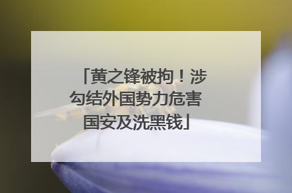 黄之锋被拘！涉勾结外国势力危害国安及洗黑钱
