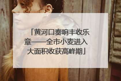 黄河口奏响丰收乐章——全市小麦进入大面积收获高峰期