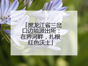 黑龙江省三岔口边境派出所：在界河畔，扎根红色沃土