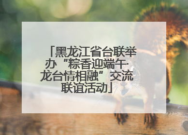 黑龙江省台联举办“粽香迎端午·龙台情相融”交流联谊活动