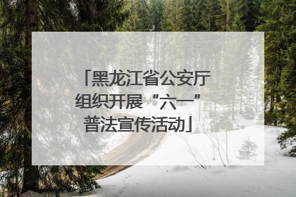 黑龙江省公安厅组织开展“六一”普法宣传活动