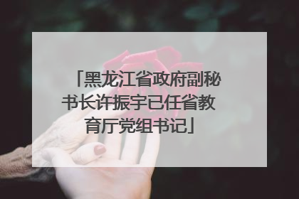 黑龙江省政府副秘书长许振宇已任省教育厅党组书记