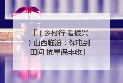 （乡村行·看振兴）山西临汾：保电到田间 抗旱保丰收
