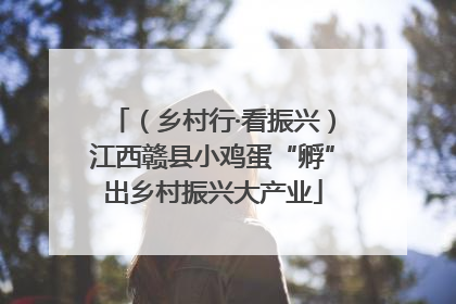 （乡村行·看振兴）江西赣县小鸡蛋“孵”出乡村振兴大产业