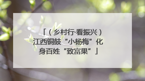 （乡村行·看振兴）江西铜鼓“小杨梅”化身百姓“致富果”