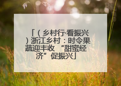 （乡村行·看振兴）浙江乡村：时令果蔬迎丰收 “甜蜜经济”促振兴