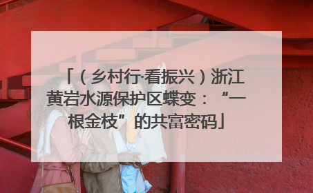 （乡村行·看振兴）浙江黄岩水源保护区蝶变：“一根金枝”的共富密码