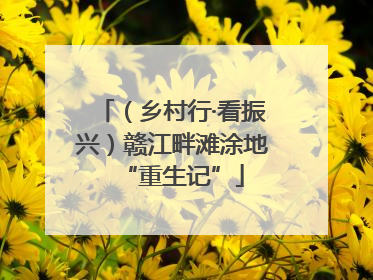 （乡村行·看振兴）赣江畔滩涂地“重生记”