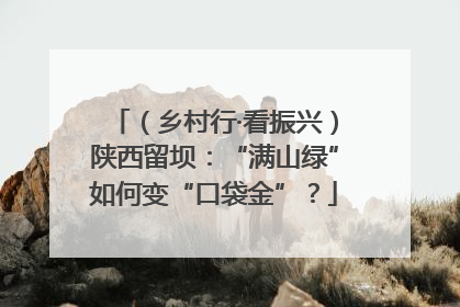 （乡村行·看振兴）陕西留坝：“满山绿”如何变“口袋金”？