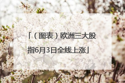 （图表）欧洲三大股指6月3日全线上涨