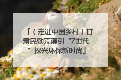 （走进中国乡村）甘肃民勤荒漠引“Z世代”探兴环保新时尚