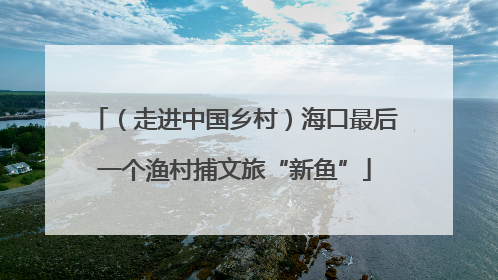 （走进中国乡村）海口最后一个渔村捕文旅“新鱼”