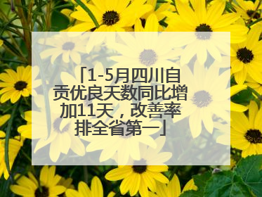 1-5月四川自贡优良天数同比增加11天，改善率排全省第一