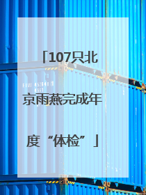 107只北京雨燕完成年度“体检”