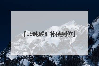 19吨碳汇补偿到位