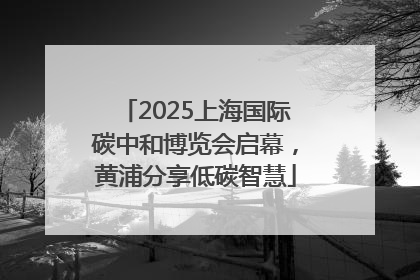 2025上海国际碳中和博览会启幕，黄浦分享低碳智慧