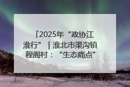 2025年“政协江淮行”｜淮北市渠沟镇程阁村：“生态痛点”变“生态景观”