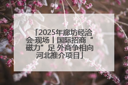 2025年廊坊经洽会·现场丨国际招商“磁力”足 外商争相向河北推介项目