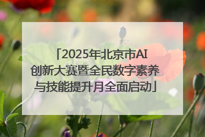 2025年北京市AI创新大赛暨全民数字素养与技能提升月全面启动