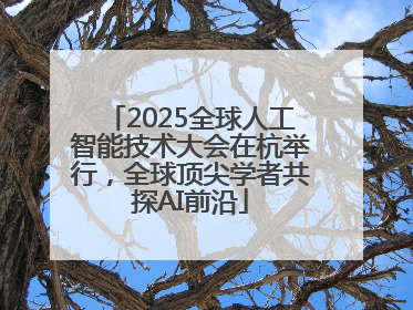 2025全球人工智能技术大会在杭举行，全球顶尖学者共探AI前沿