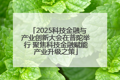 2025科技金融与产业创新大会在普陀举行 聚焦科技金融赋能产业升级之策