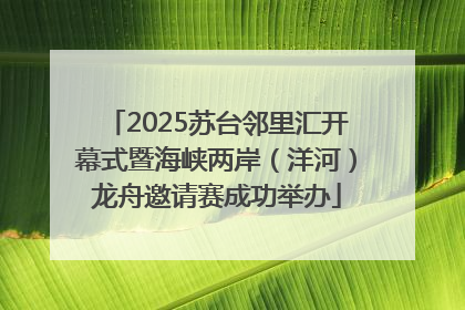 2025苏台邻里汇开幕式暨海峡两岸（洋河）龙舟邀请赛成功举办